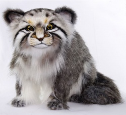 Hansa Pallas Cat Animal Soft Toy